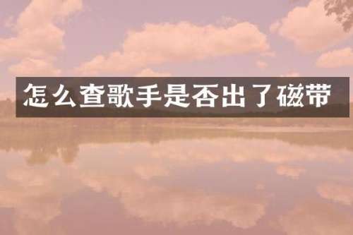 怎么查歌手是否出了磁带
