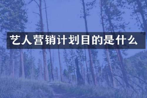 艺人营销计划目的是什么