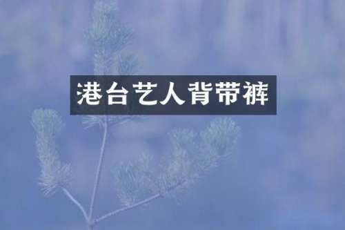 港台艺人背带裤