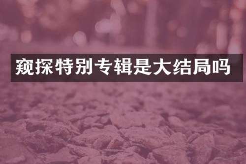窥探特别专辑是大结局吗