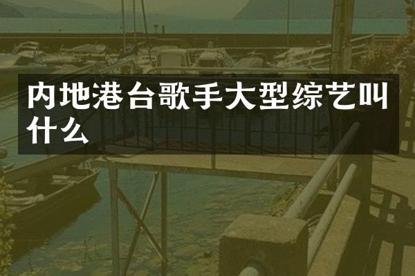 内地港台歌手大型综艺叫什么
