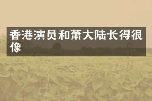 香港演员和萧大陆长得很像