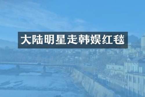 大陆明星走韩娱红毯