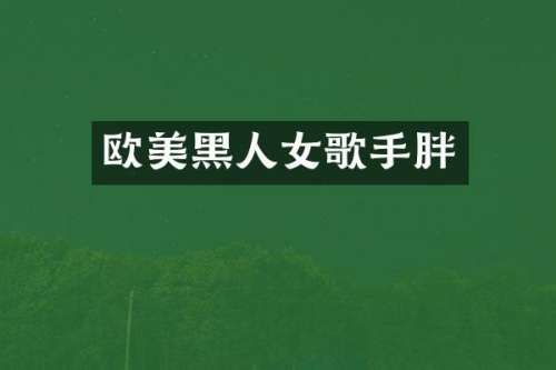 欧美黑人女歌手胖