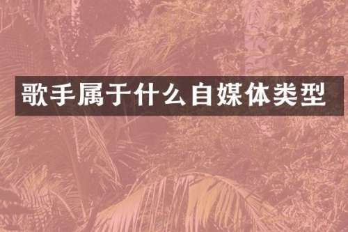 歌手属于什么自媒体类型