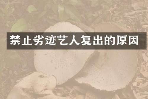 禁止劣迹艺人复出的原因
