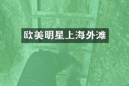 欧美明星上海外滩
