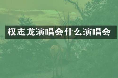 演唱会什么演唱会