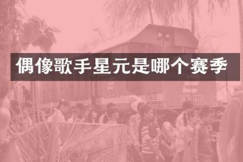 偶像歌手星元是哪个赛季