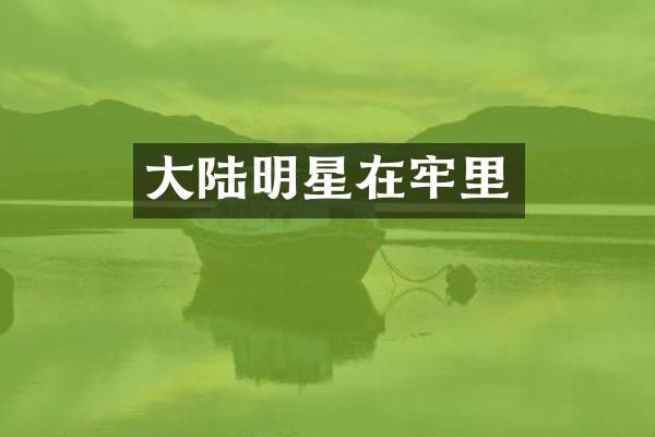大陆明星在牢里