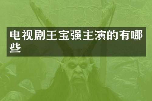 电视剧王宝强主演的有哪些