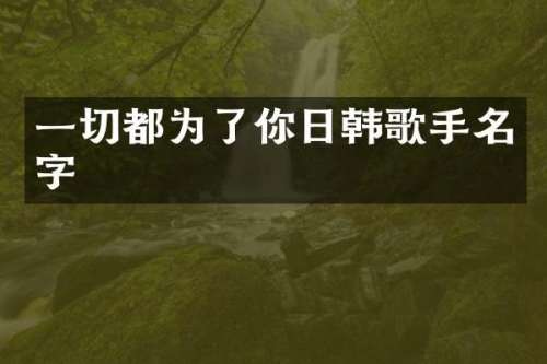 一切都为了你日韩歌手名字