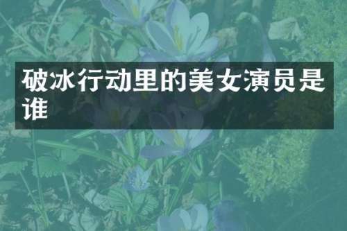 破冰行动里的演员是谁