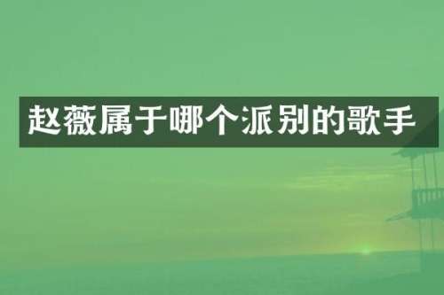 赵薇属于哪个派别的歌手