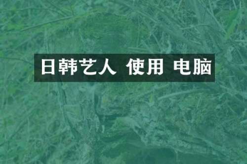 日韩艺人 使用 电脑