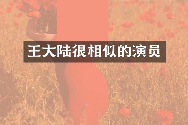 王大陆很相似的演员