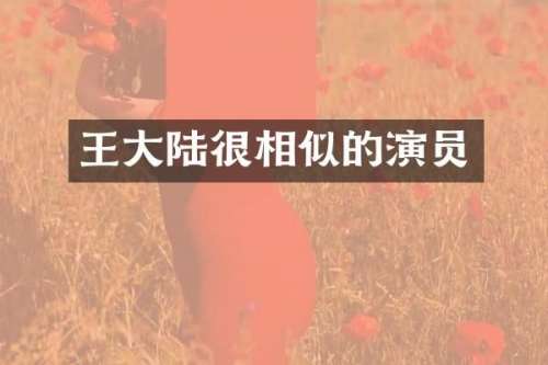 王大陆很相似的演员