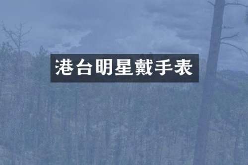 港台明星戴手表