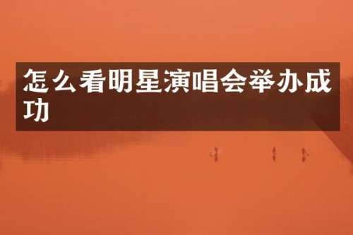 怎么看明星演唱会举办成功