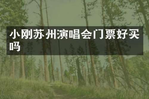 小刚苏州演唱会门票好买吗