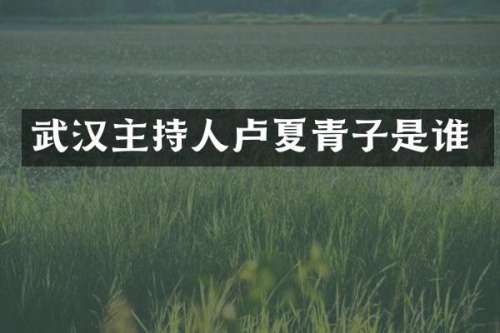 武汉主持人卢夏青子是谁