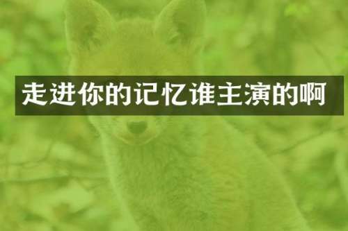 走进你的记忆谁主演的啊