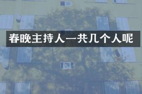 主持人一共几个人呢