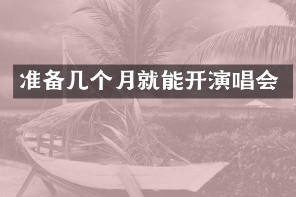 准备几个月就能开演唱会
