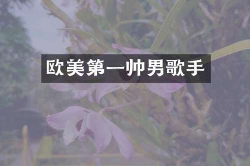欧美第一帅男歌手
