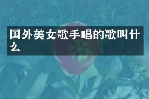 国外歌手唱的歌叫什么