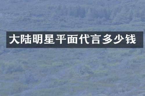 大陆明星平面代言多少钱