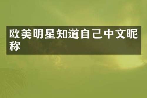 欧美明星知道自己中文昵称