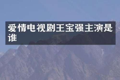 爱情电视剧王宝强主演是谁