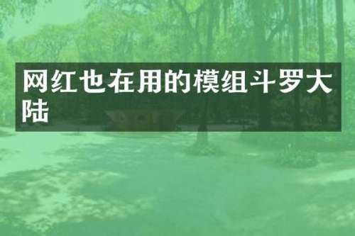 网红也在用的模组斗罗大陆