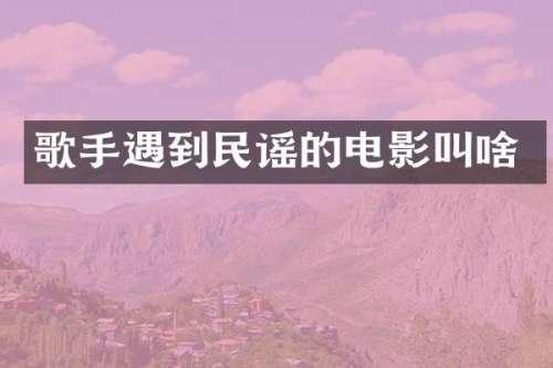 歌手遇到民谣的电影叫啥