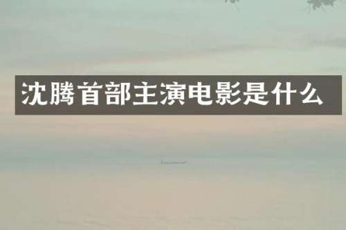 沈腾首部主演电影是什么