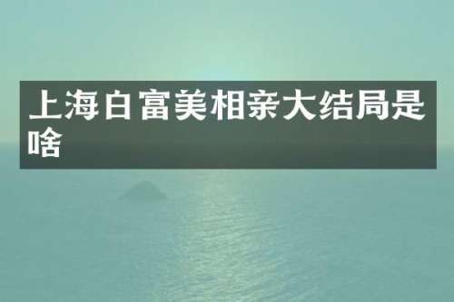 上海白富美相亲大结局是啥