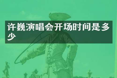 许巍演唱会开场时间是多少