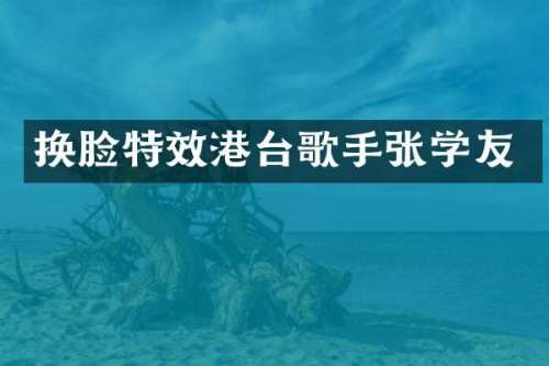 换脸特效港台歌手张学友