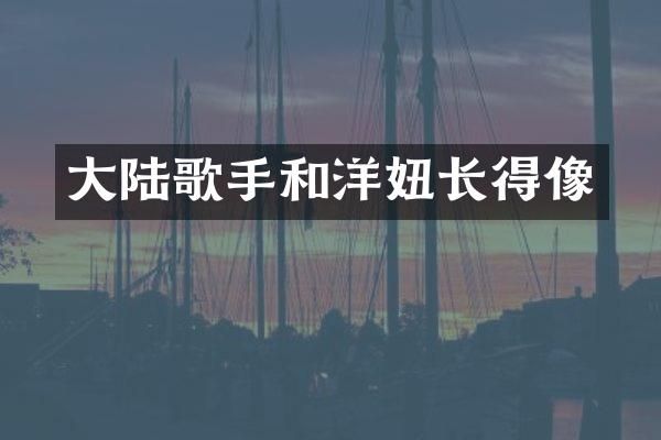 大陆歌手和洋妞长得像