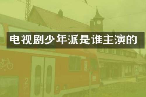 电视剧少年派是谁主演的