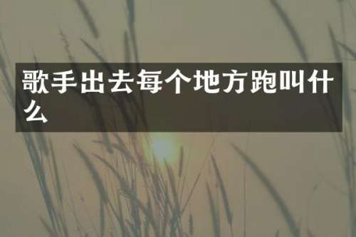 歌手出去每个地方跑叫什么