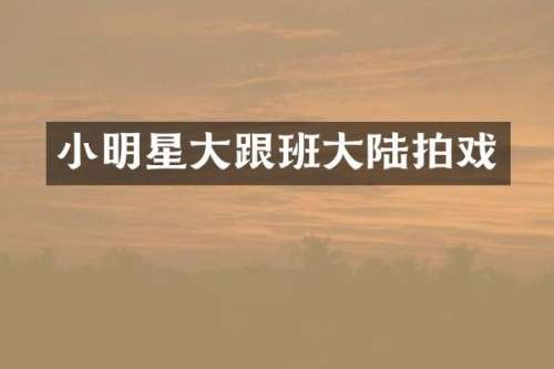 小明星大跟班大陆拍戏