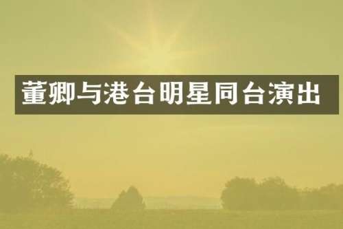 董卿与港台明星同台演出