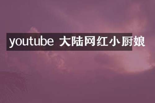 youtube 大陆网红小厨娘