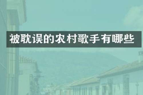 被耽误的农村歌手有哪些