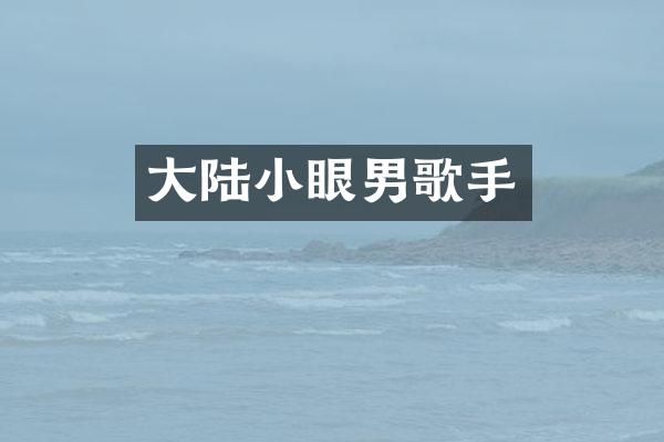 大陆小眼男歌手