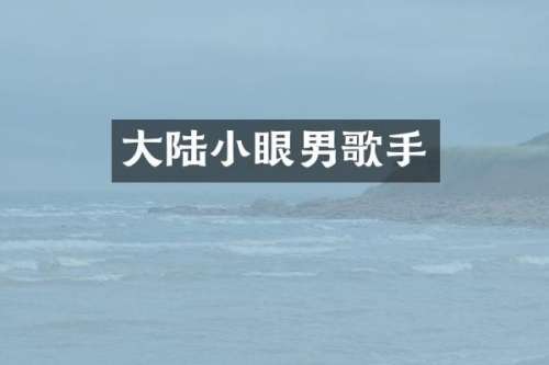 大陆小眼男歌手