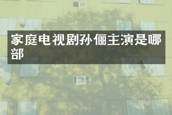 家庭电视剧孙俪主演是哪部