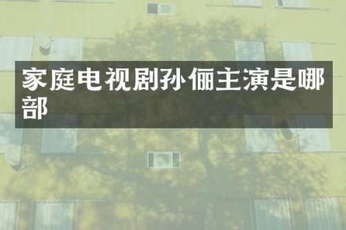 家庭电视剧孙俪主演是哪部